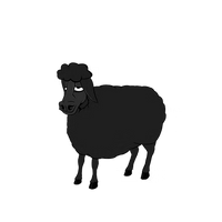 sheep