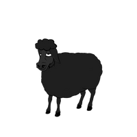 sheep